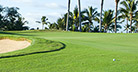 Golf Progressive Lenses