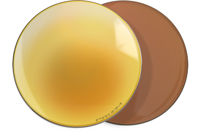 Prizm 24K Polarized